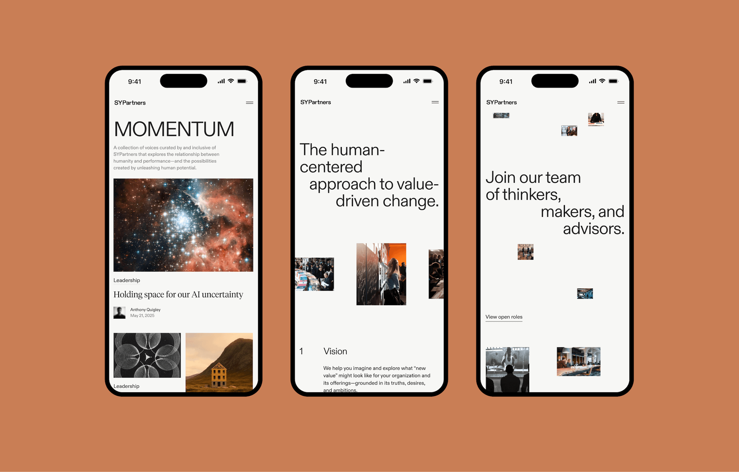 Key pages on the SYPartners website